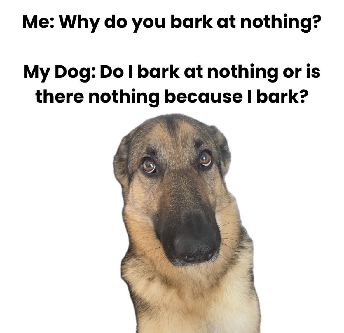 RespectfulMemes's tweet image. 