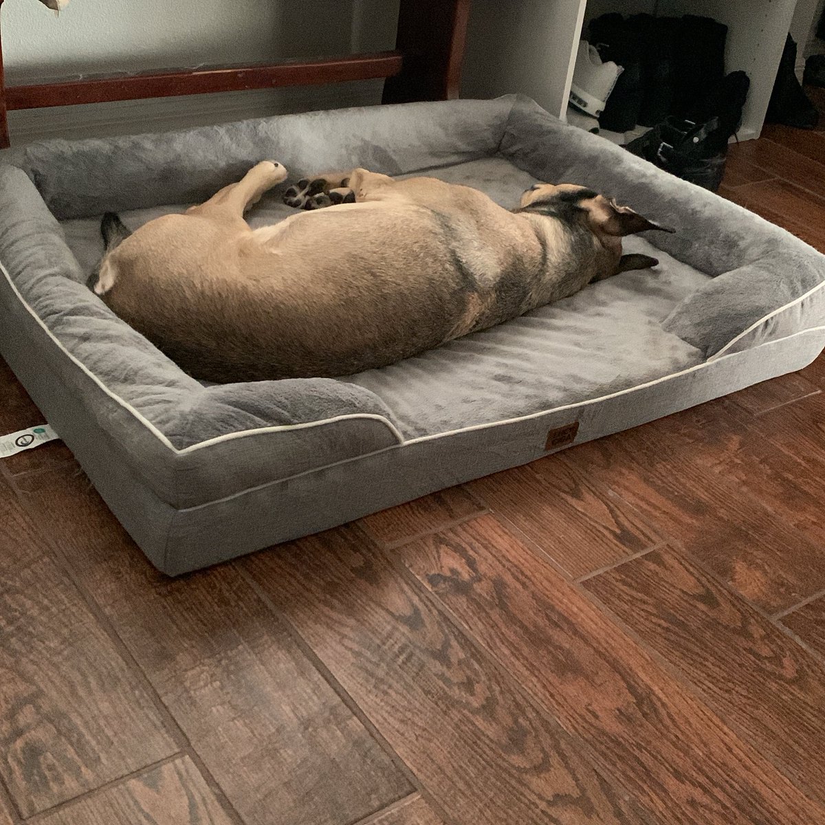 Tiffehbabe's tweet photo. It’s great to be back home for a bit before I move! Hope the animals are ready for the 21 hour drive on Wednesday! https://t.co/VNeNEzesaG