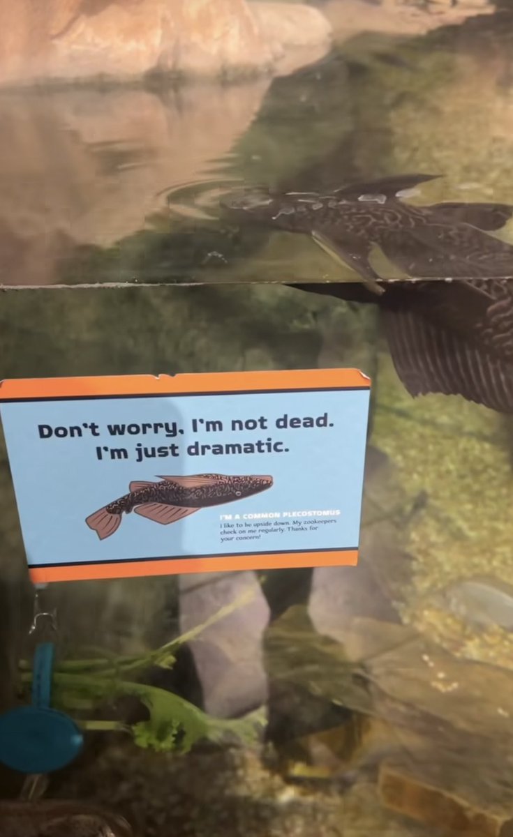 Me when I take a few days away from Twitter