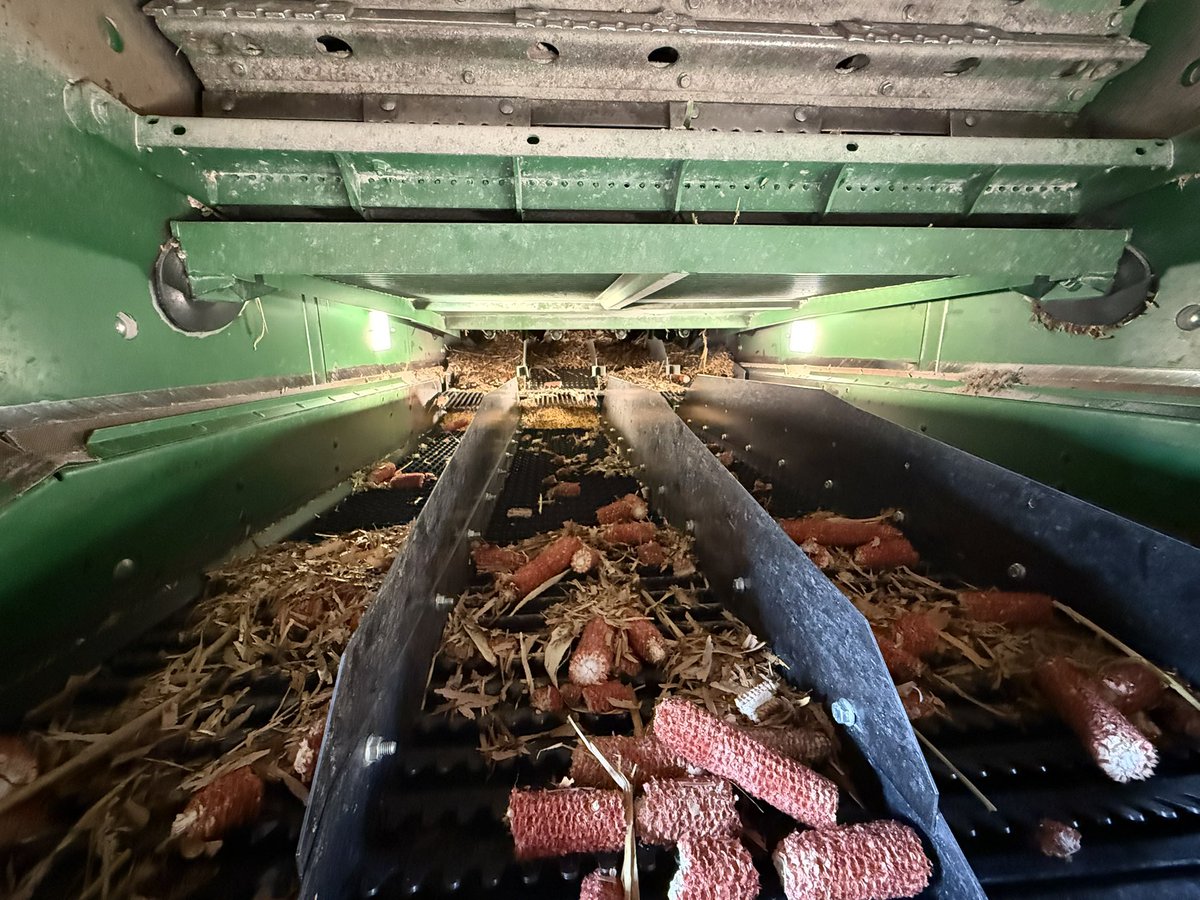 👣 Barefoot’n Farmer 👣 🇺🇸🚤🇺🇸 tweet media