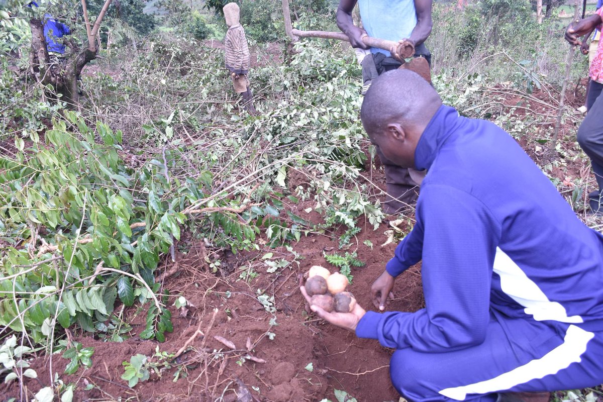 2/n #NDIKURIYO_Jean_Berchmans yashimiye abenegihugu ingen bitwararik ibikorwa vy'iterambere,agasaba indongozi kuba itara ry'abenegihugu mu gukurikirana igiterwa c'ivoka ku rugo ku rugo,guheba amaligala bakagwiz umwimbu kugira komine ibe iyambere gushika ku #mbonakazoza_2040_2060