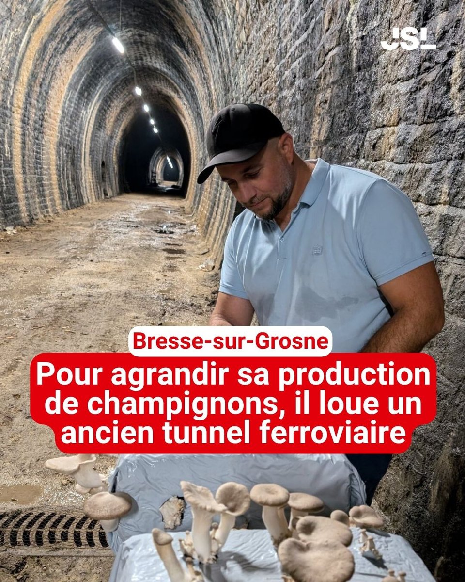 Le lieu lui permet de diversifier sa production, et lui a donné une idée insolite...
A lire ici ➡️ l.lejsl.com/QCd