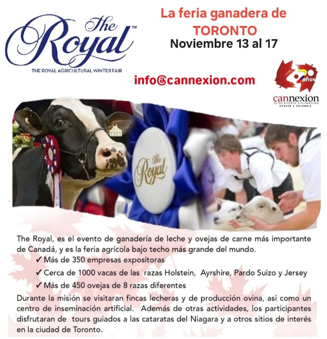 LOS ESPERAMOS!!!

La Royal es la feria ganadera bajo techo + grande del mundo.

Expositores de ganado bovino para carne y leche, así como ovejas y caballos, de las mejores granjas de 🇨🇦

👇👇

youtu.be/MWjsIVNNzv8?si…

👆👆

NO SE LA PIERDA!