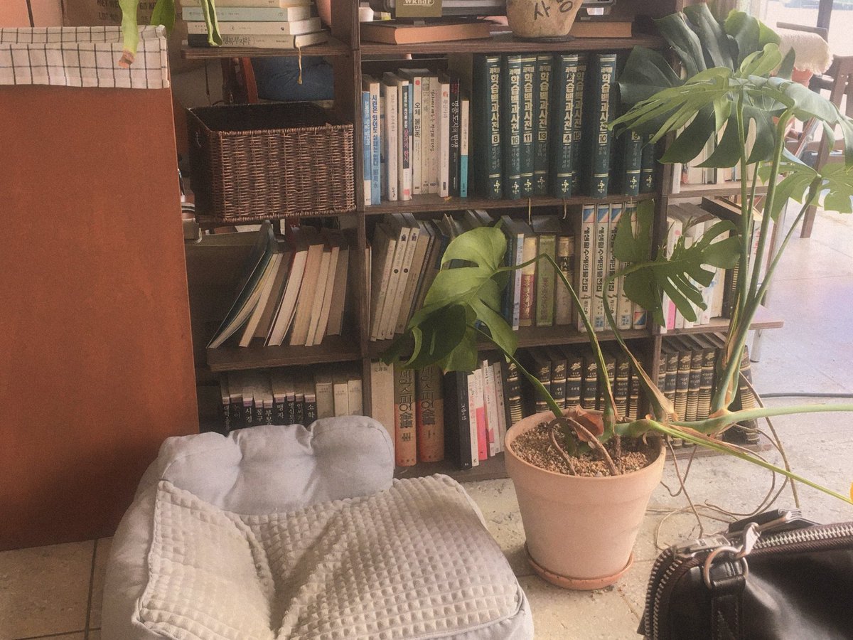 좋은 느낌을 줌 ... . . . 🩰