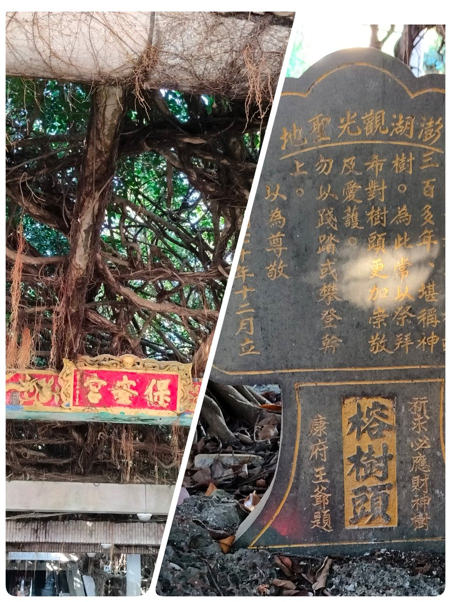 🐞中年已婚人夫/二哥♐ tweet media