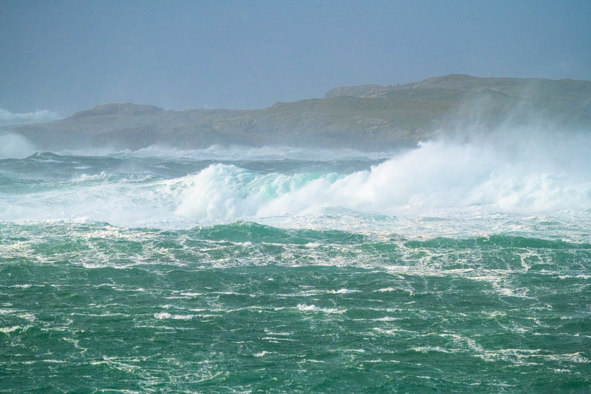 Brian Jenkins tweet media