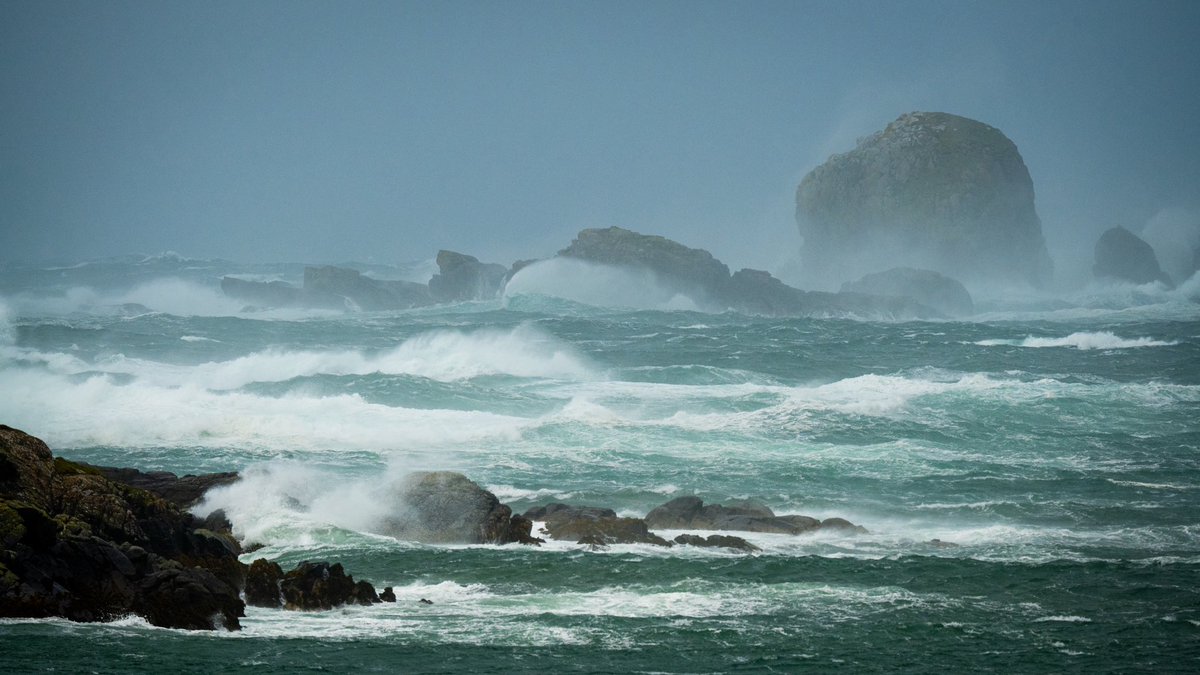 Brian Jenkins tweet media