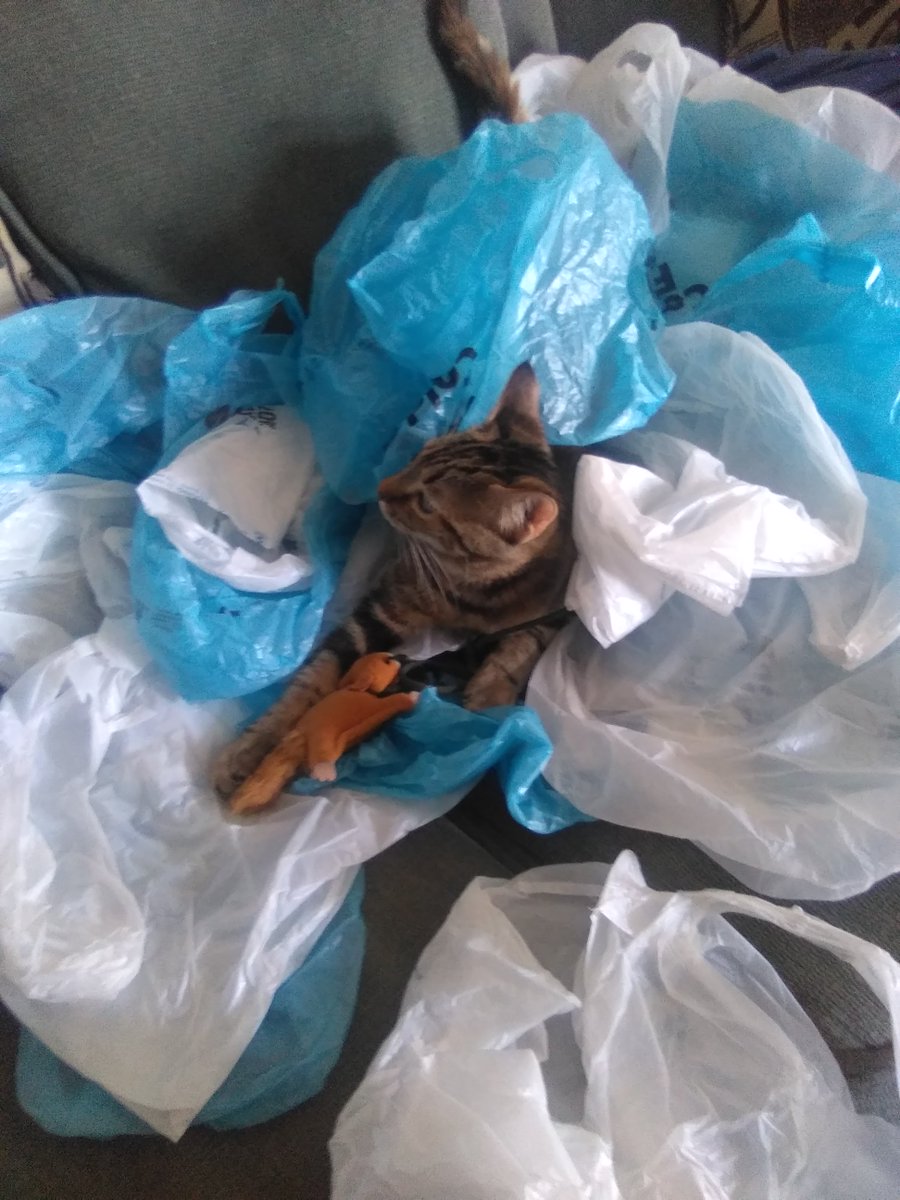 ChocolateLeaves tweet media