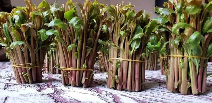 توجد 3.824 مليار أمراة في العالم هذه
الصورة اجمل منهن جميعا ❤️