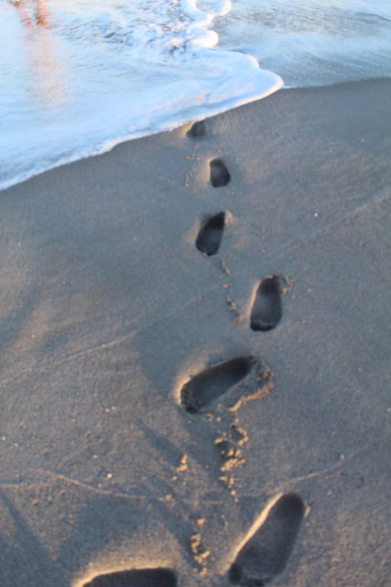 FlowerFootGod's tweet photo. Toes in the sand….Life is great!!! #Femdom #Finsub #Femsub #FootWorship #FootSlave #Paypig #PerfectFeet #FootGoddess #FootQueen #findom #femsub #humanatm #domme #loser #cuck #sissy #drain #brat https://t.co/rXvEIUmVdj