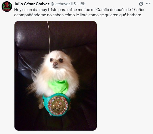EsquinaAzulBox's tweet image. En plena recuperación de cirugía, el gran campeón @Jcchavez115  anunció la pérdida de su mascota Camilo, que seguro vieron en la serie.
Quienes han tenido una mascota saben lo doloroso que es cuando cruzan el puente del arcoíris 🌈