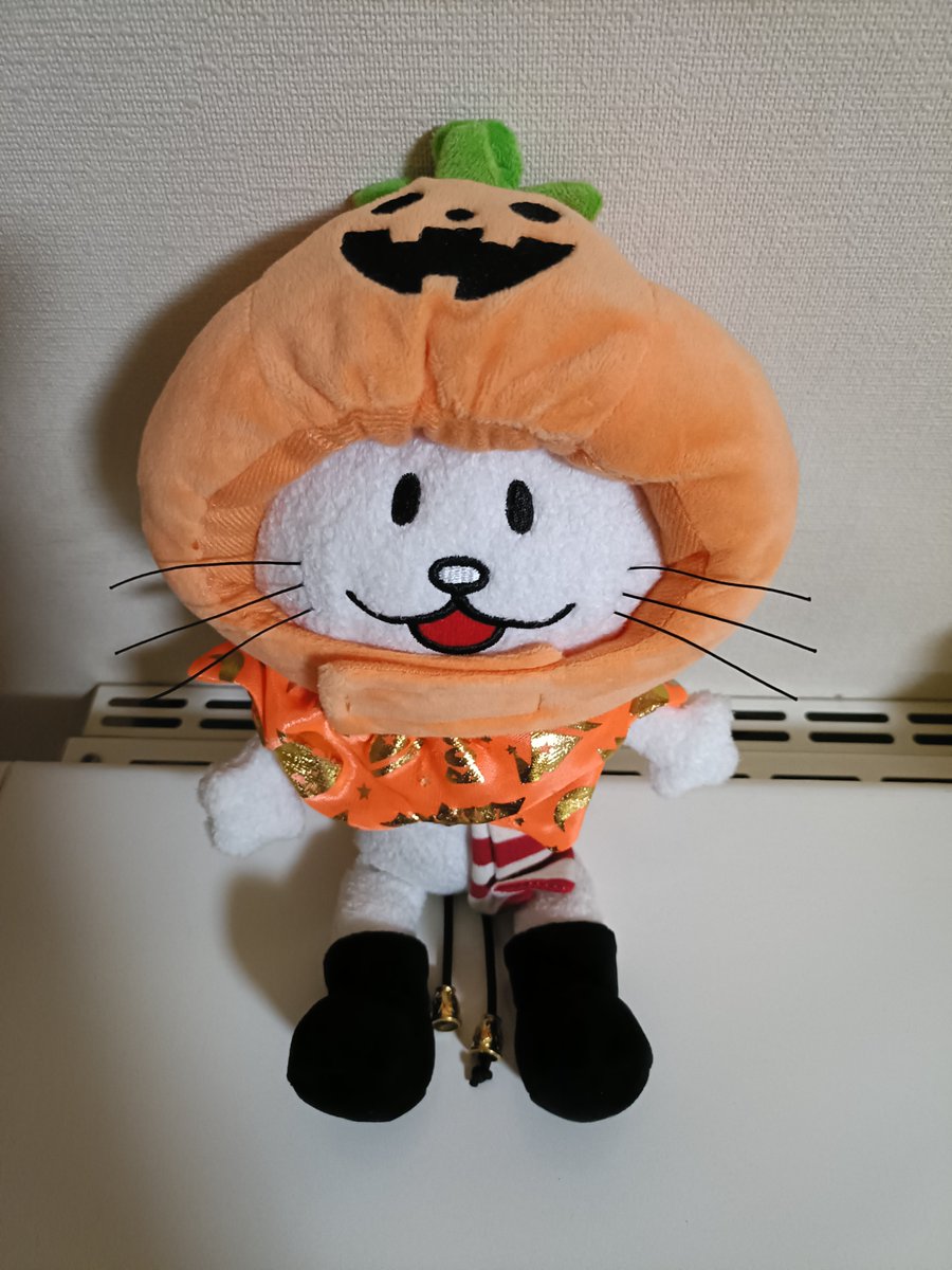 boc_nia's tweet photo. おはよーございまスニャァฅ^ˇωˇ^ฅ
最近 #ダイソー さんでお洋服と猫用のパンプキン帽を買いました!🎃
もしやと思ってうちのコ着せてあげました!👕
初めまして 仲良くやろうぜ 痒いからって剥がすなよ
短い間だと思うけどここは 任せとけ
後ろ姿で後頭部が少しはみ出てるのが可愛すぎて…🥰😻 https://t.co/1dt6oUtZJy