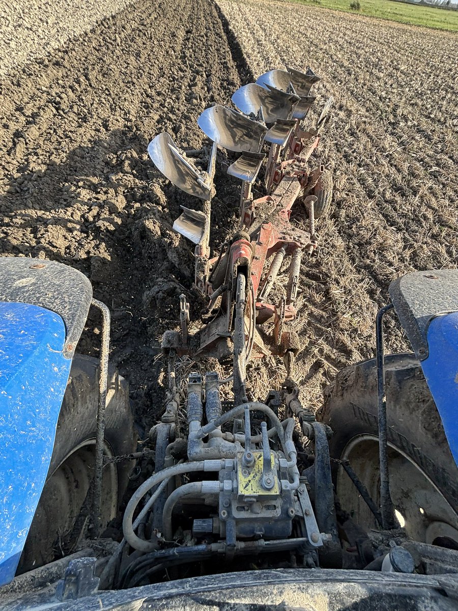 Hendrik Vandamme tweet media