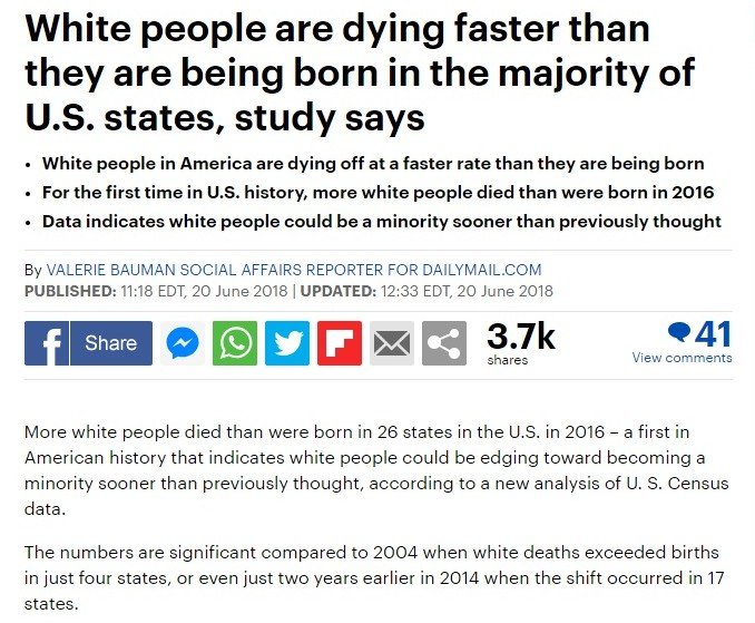 DefinitelyNegev tweet media