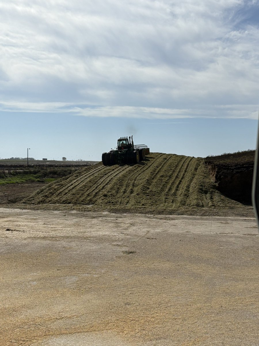 Tales from the Feedyard (Uncensored) tweet media