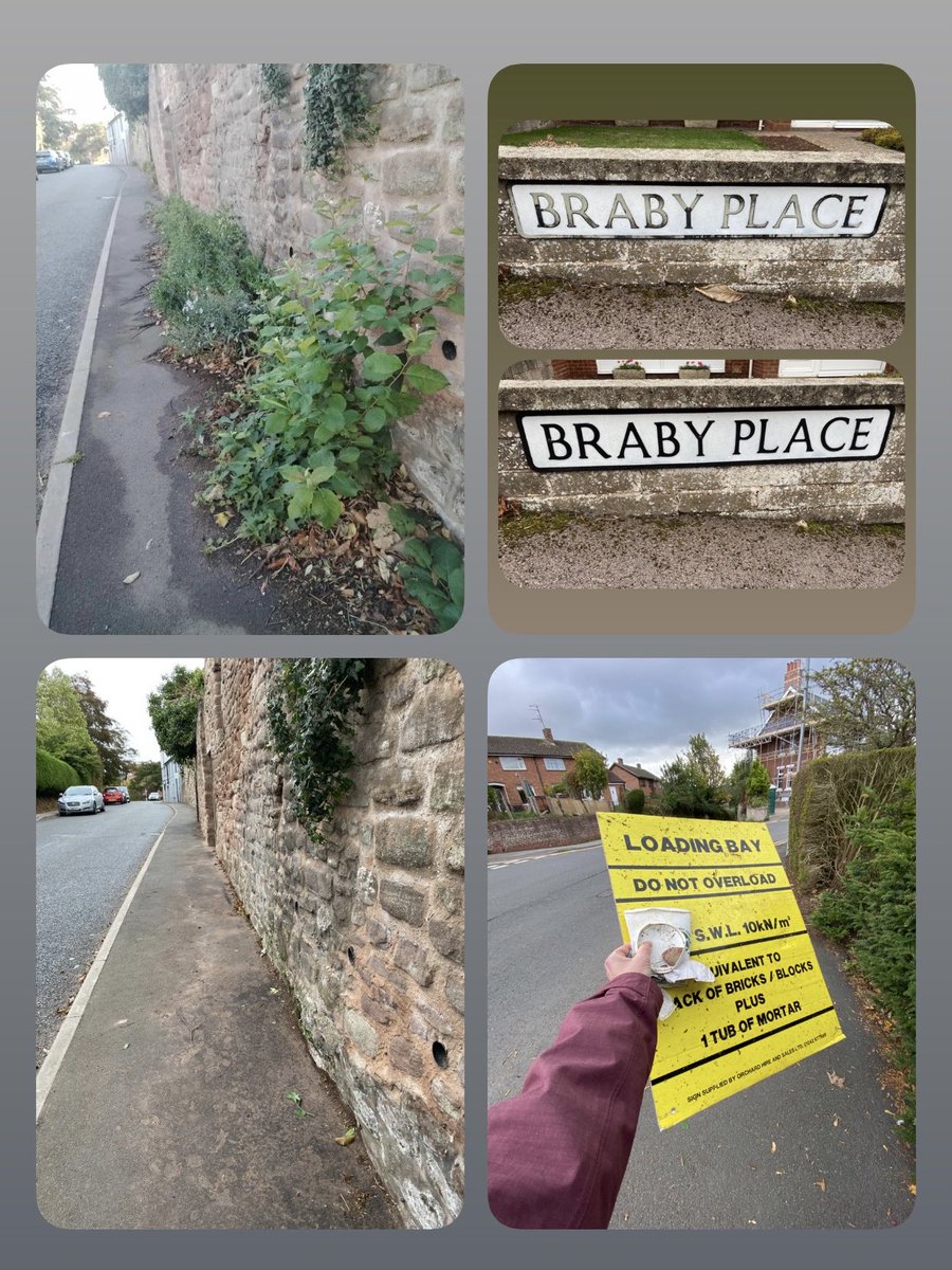sabrown134's tweet image. 4th October - happy #WorldAnimalDay @pawsonplastic 🐾 pleased to see this ‘overgrown’ path  on Archenfield Road, now cleared 👍🏻 (was reported via @fixmystreet ) and another street #SignColour 🖊️🖤 then found this #LargeLitter (in the road!) on Brampton hill (now folded and ⬇️