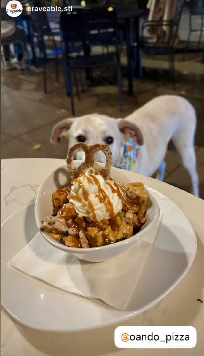 App, Pizza + Pasta, Dessert. Well played. Hopefully the pup got some treats! ❤️