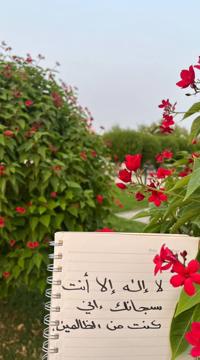 عمرو النجار (@amranjjar) on Twitter photo 