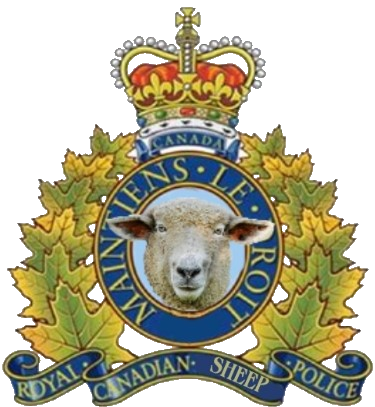 CanVet811🇨🇦🇺🇸🪖 tweet media