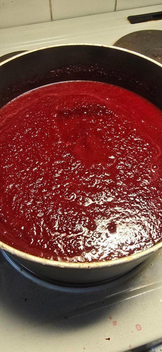 Stormig lördag. Dricker jag och tjejen vin. Och tillagar en krämig och mustig borsjtj  som vi tänkt förtära till skräckfilm? Att vi gör.