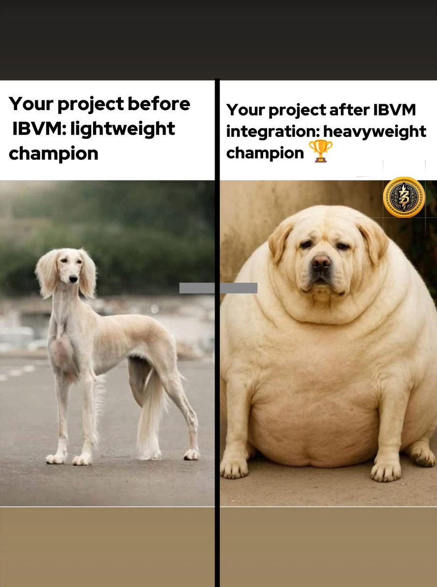 Malcolm_Great1's tweet image. Your project might start as a lightweight champion. 

But with @IBVMCHAIN integration, it transforms into a true heavyweight champion 🏆
Scaling Bitcoin like never before 🚀

$IBVM #IBVM