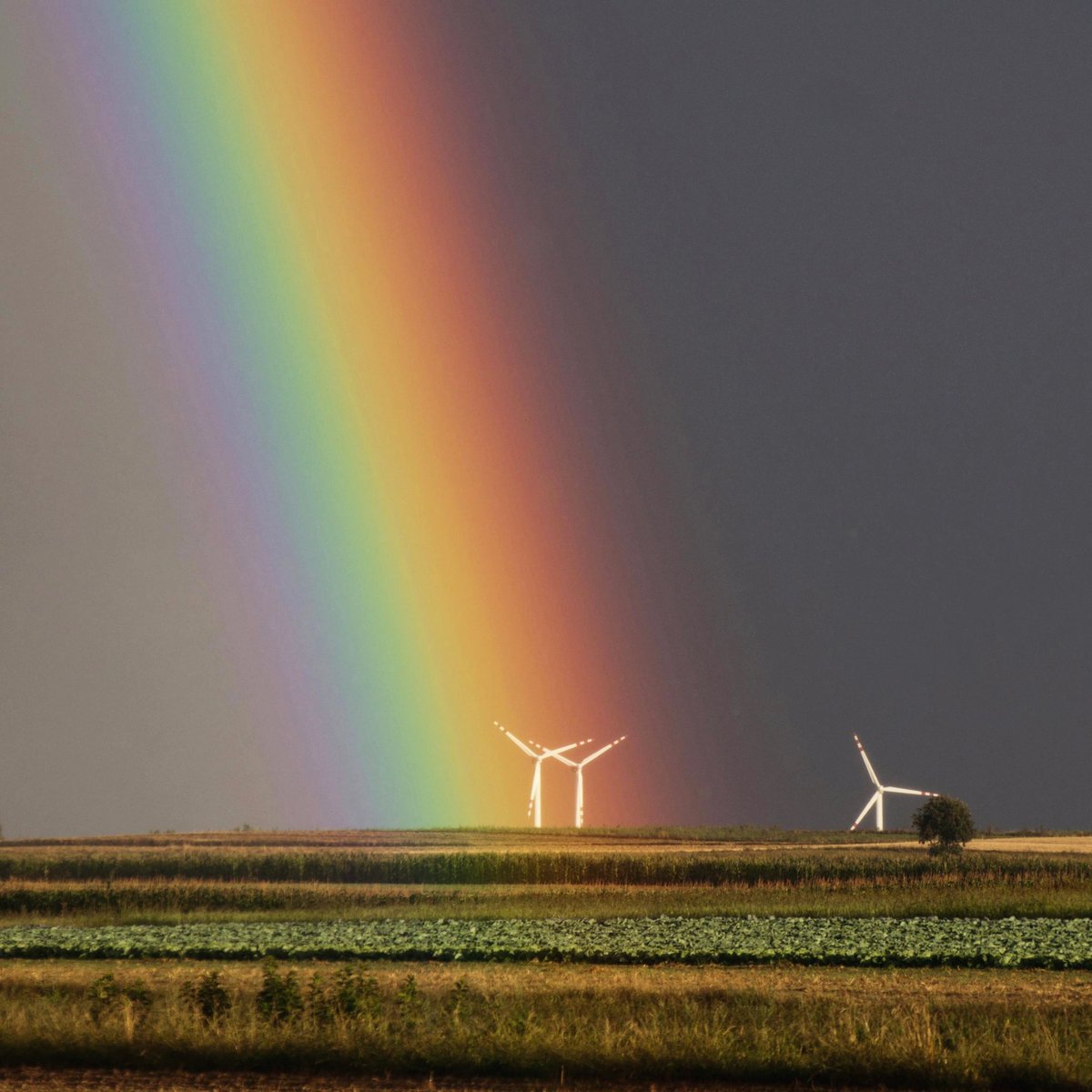 Freiwolf_Design's tweet photo. 🌈🍂☀️

#rainbow #regenbogen #landschaftsfotografie #landscapephotography #natur #nature #autumn #fall https://t.co/PVkWekenWQ