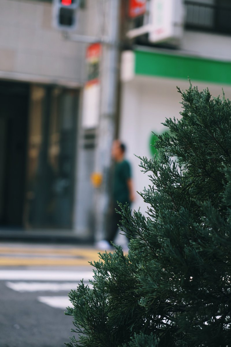 qDnMGL1nipJPGoI's tweet image. Street Photography in Hiroshima.