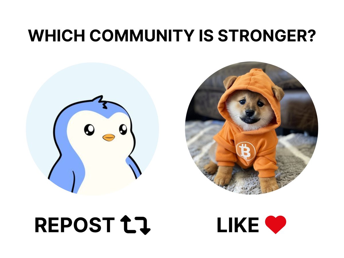 DogBrazil tweet media