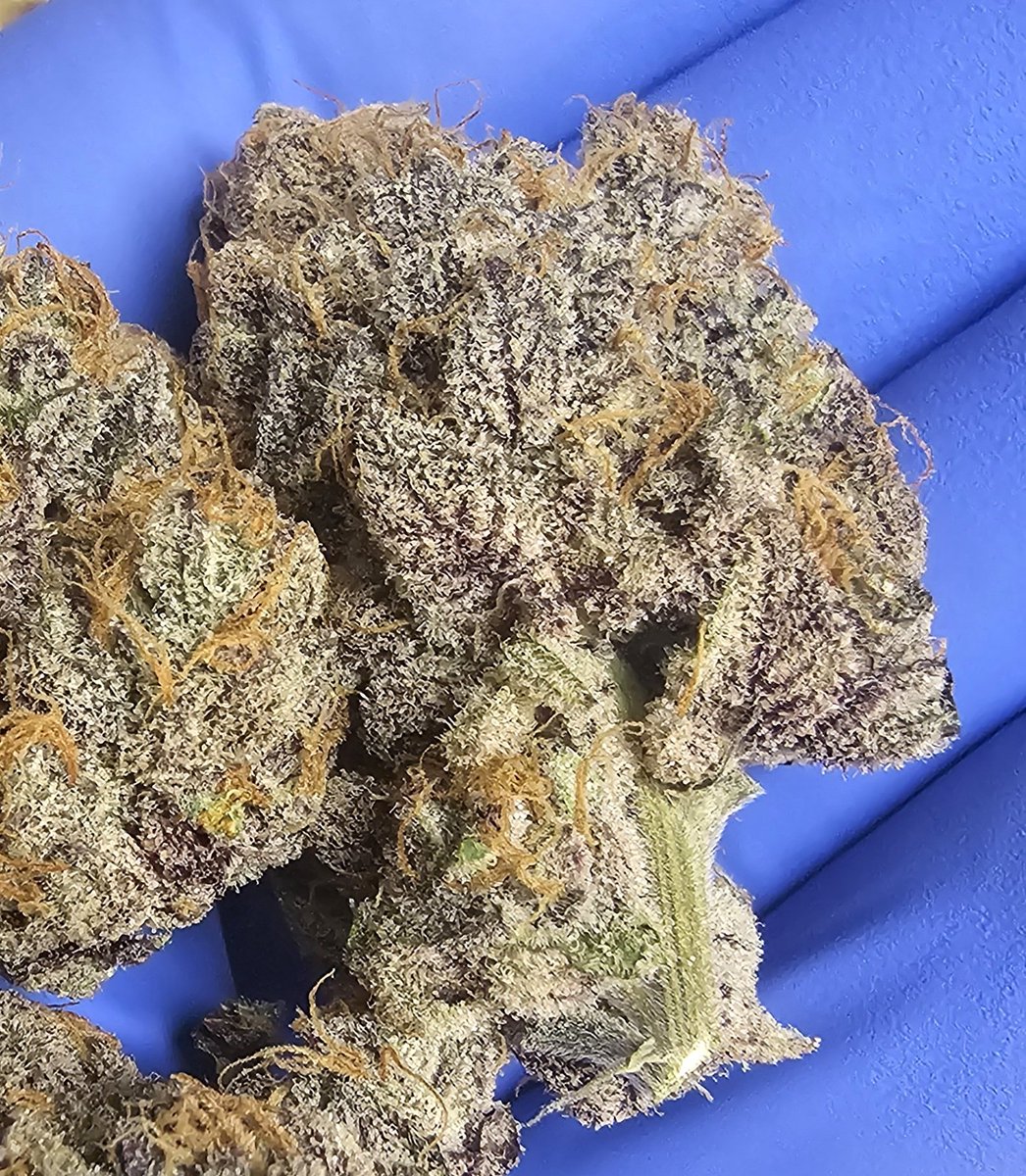 Happy Saturday! Gonna be a great freakin day... what you all smoking on today?