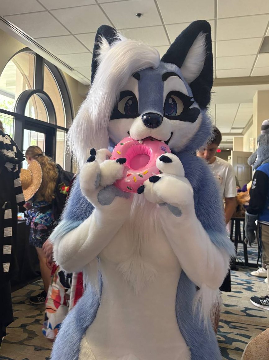 Glitzy_Fox's tweet image. Hey everyone! As many of you know Icey the fox broke a bone fursuiting  a few months ago. We took her to the ER and shes made a full recovery, but without insurance its a hard bill for her to cover without help. Any donations and shares appreciate!! gofund.me/22b8d0acf