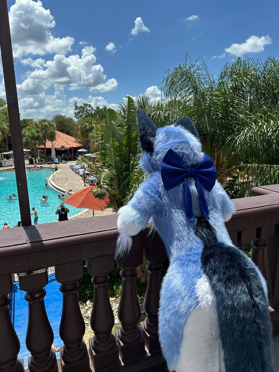 Hey everyone! As many of you know Icey the fox broke a bone fursuiting  a few months ago. We took her to the ER and shes made a full recovery, but without insurance its a hard bill for her to cover without help. Any donations and shares appreciate!! gofund.me/22b8d0acf