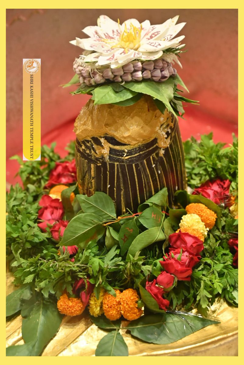 आज श्री काशी विश्वनाथ जी की श्रृंगार आरती I
#kashivishwanath #kashi #sanatandharma #banaras