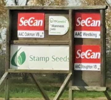 Spring wheat sign!
Our 4 varieties for CWRS class this season.
Start here and more links lower in page!
stampseeds.com/sy-manness-hrs…
#WestCdnAg