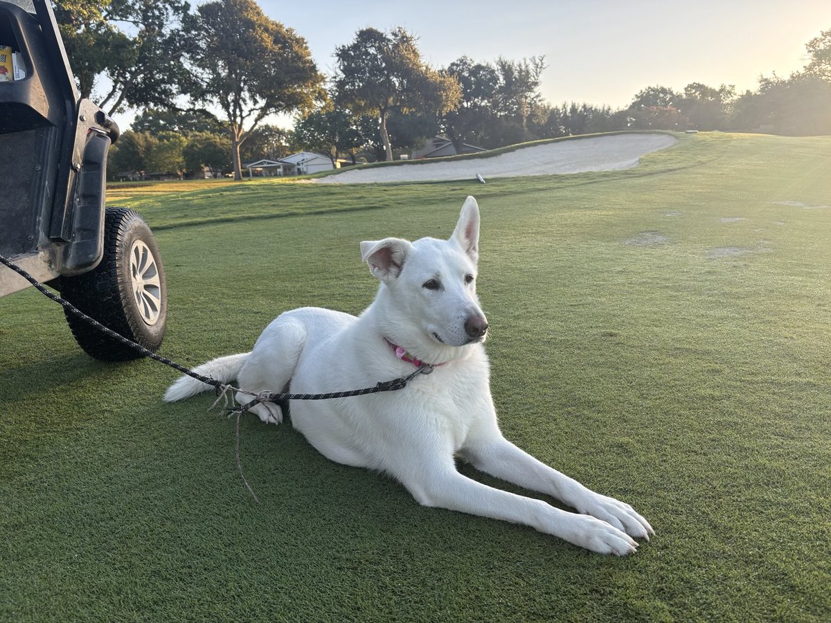 When the set up guy calls in, you have to jump in and help. Lucy’s not sure about this pin placement. Reminder: train more cup changers! #canyoncreekcc