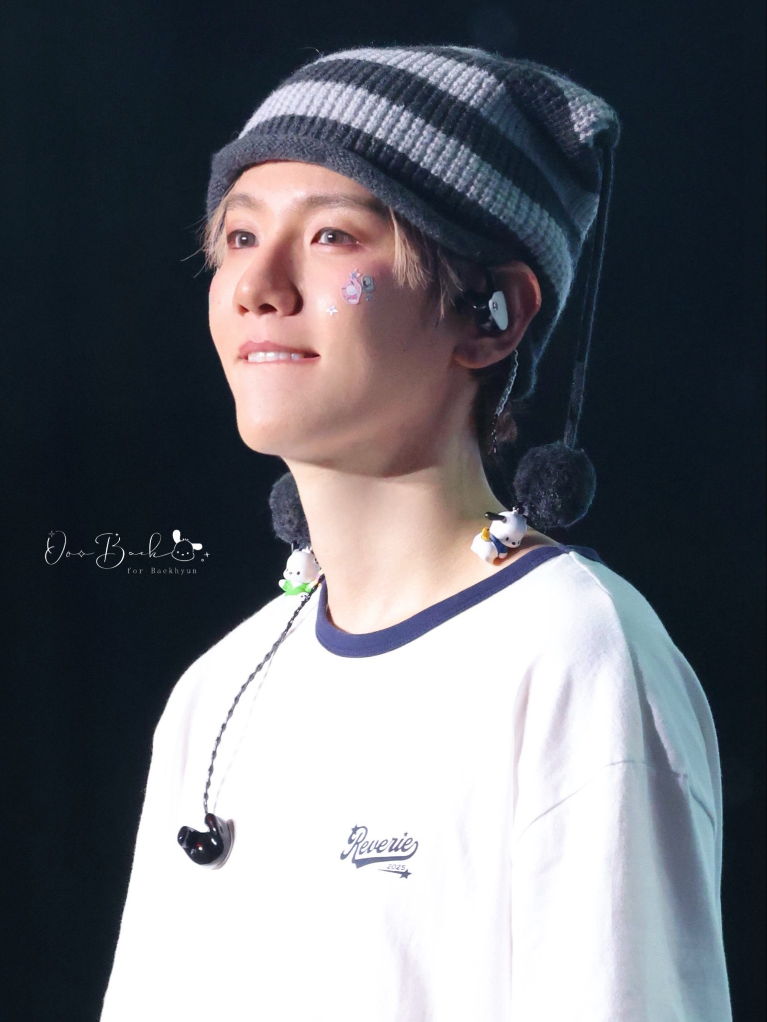 【백현 BAEKHYUN】フレーム ネームボード オーダー ぷっくり 백현 BAEKHYUN】フレーム ネームボード オーダー ぷっくり