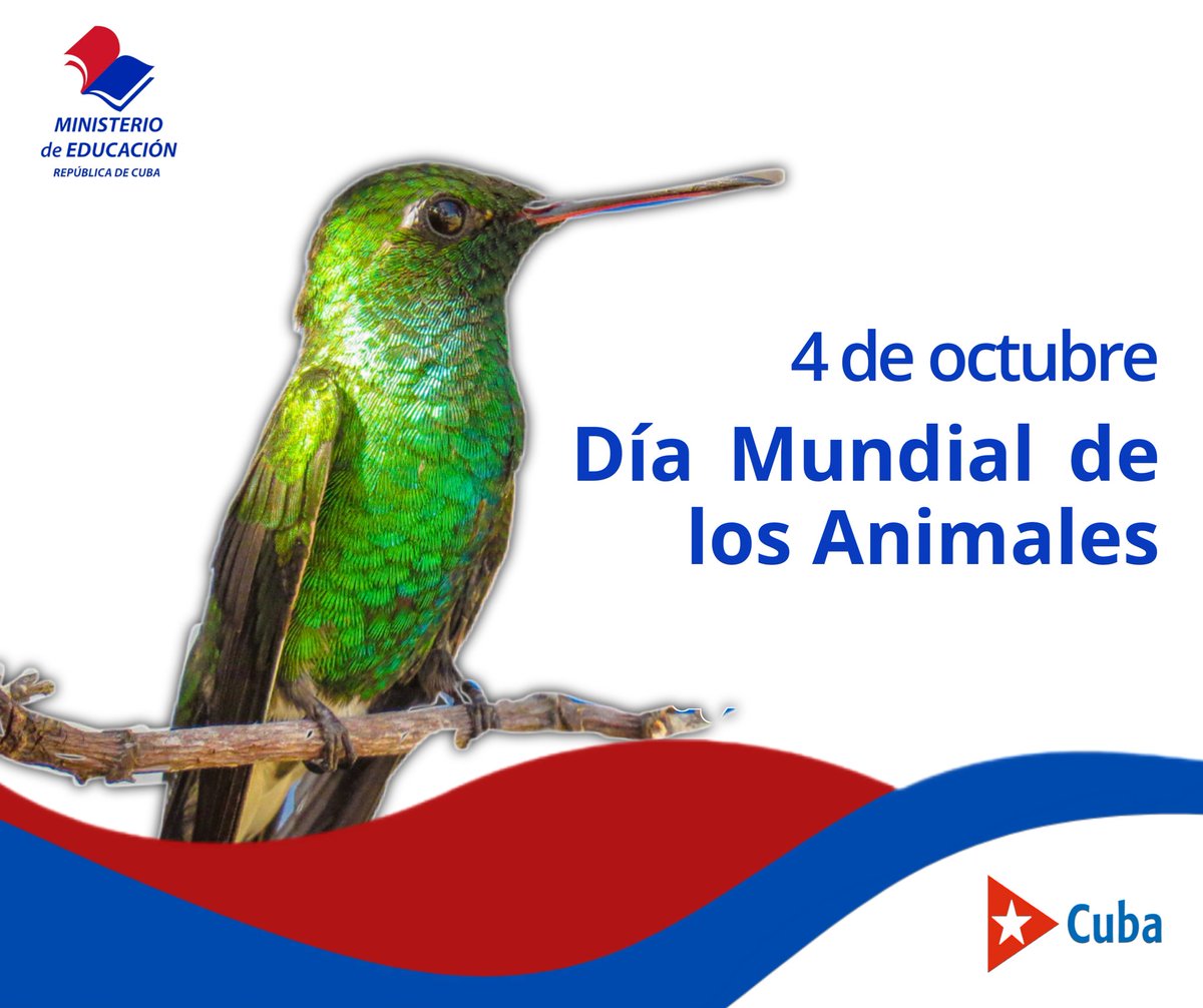 MINED (@cubamined) on Twitter photo 🇨🇺 El 4 de octubre se celebra el Día Mundial de los Animales, una fecha promovida por la Organización Mundial de Protección Animal, con el objetivo de frenar la extinción de muchas especies. Este día se celebró por primera vez en Berlín (Alemania) en 1925.
#CubaMined 🇨🇺 El 4 de octubre se celebra el Día Mundial de los Animales, una fecha promovida por la Organización Mundial de Protección Animal, con el objetivo de frenar la extinción de muchas especies. Este día se celebró por primera vez en Berlín (Alemania) en 1925.
#CubaMined