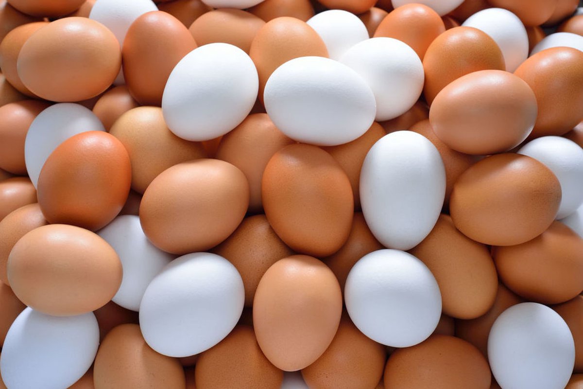 Umupangayi_001's tweet photo. ๐ฃ Are you giving your birds the care that turns potential into productivity?
Drop a comments๐๐๐
#PoultryFarming
#FarmWithWBF
#ExcellenceInFarming https://t.co/MHDePVik9Q