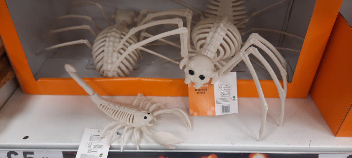 MrsTaskerSci's tweet image. Out shopping in Tesco today and I saw these. Being a science teacher is a tough gig when you&apos;re up against it. @Tesco please tell me know what you&apos;ve done wrong! #science #teaching #misconceptions