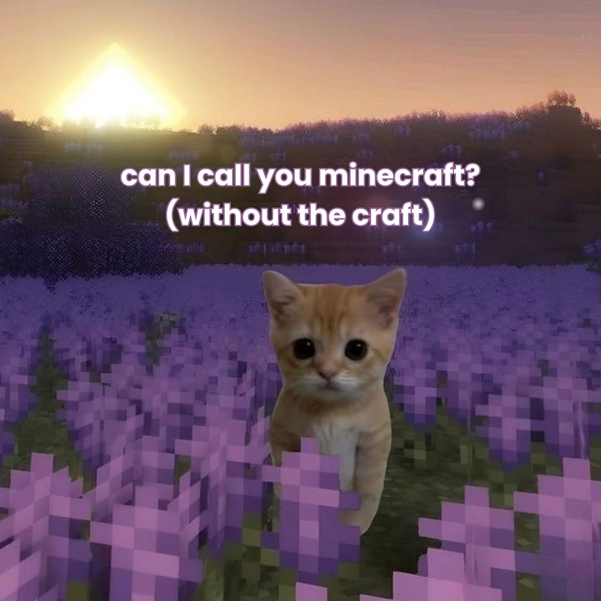 Enderman tweet media