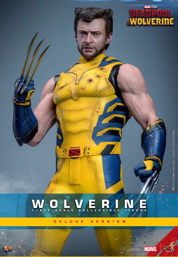 ElMaicShop's tweet photo. 🔥 WOLVERINE Deluxe 1/6 de Hot Toys 💛 31cm de puro detalle + garras 🗡️ ¡El mejor! #Wolverine #HotToys #Coleccionables #DeadpoolYWolverine 
https://t.co/hfDOCPQJsX https://t.co/WSXMGCg4vn
