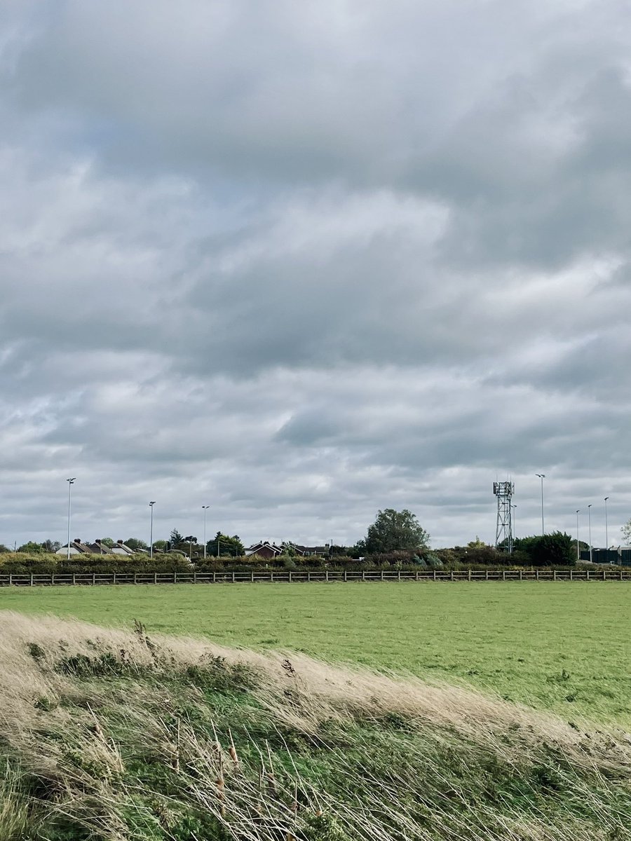 S.A. Prag tweet media