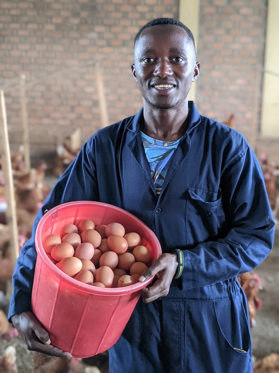 Umupangayi_001's tweet photo. ๐ฃ Are you giving your birds the care that turns potential into productivity?
Drop a comments๐๐๐
#PoultryFarming
#FarmWithWBF
#ExcellenceInFarming https://t.co/MHDePVik9Q