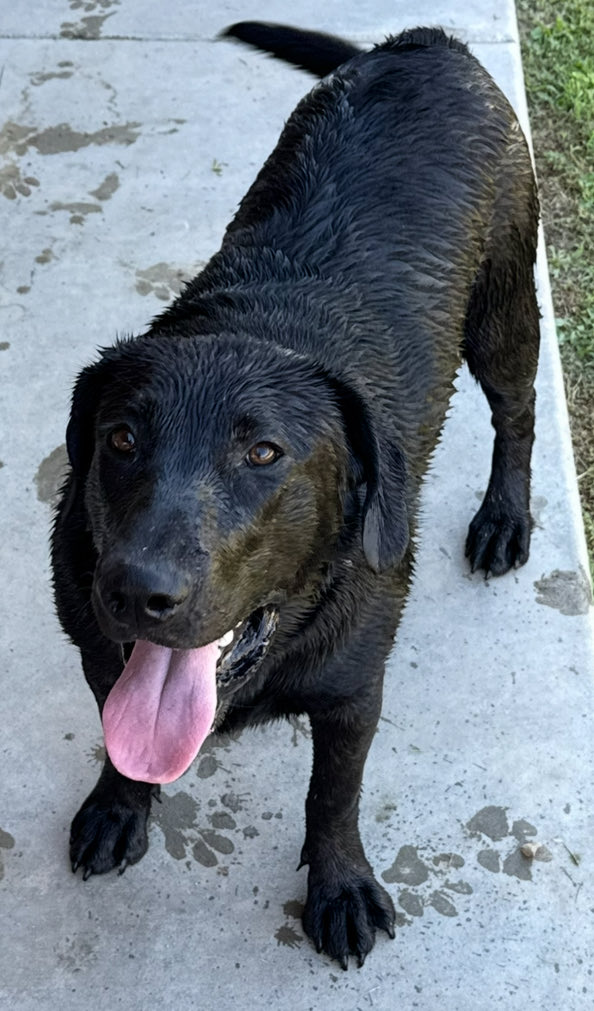 TricksOfShadows's tweet image. friend