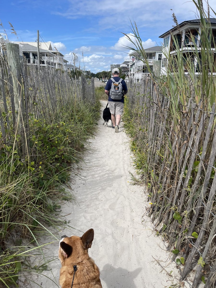 First time at the beach 🌊