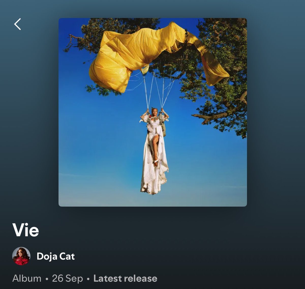 dojas_lipstain's tweet photo. I love this album even more day by day!!! https://t.co/aC08DwLoup