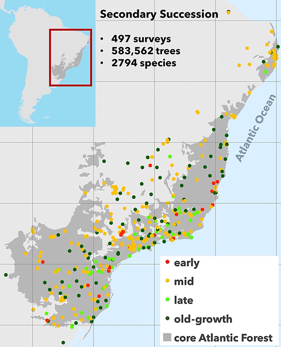 Neotropical Tree Communities database tweet media