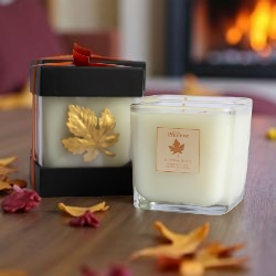 ladyprimrose1's tweet photo. ...Falling for Fall! Our Autumn Spice Candle is here! (formally called Pumpkin Spice). Promised to you every Fall Season. A blend of cinnamon, spiced vanilla, warm clove, nutmeg, orange, brown sugar, and hints of pumpkin. This scent will fill your home with brilliant warmth and coziness. Cheers to Fall!

#ladyprimrosecandles
#ladyprimrosefragrances
#fallcandles #luxuriouscandles
#regalrefinedreminiscent
#aladyprimrosepromise
#celebratingalittleluxuryeveryday
#fallseason #lovefall🍁
#autumnspicecandle