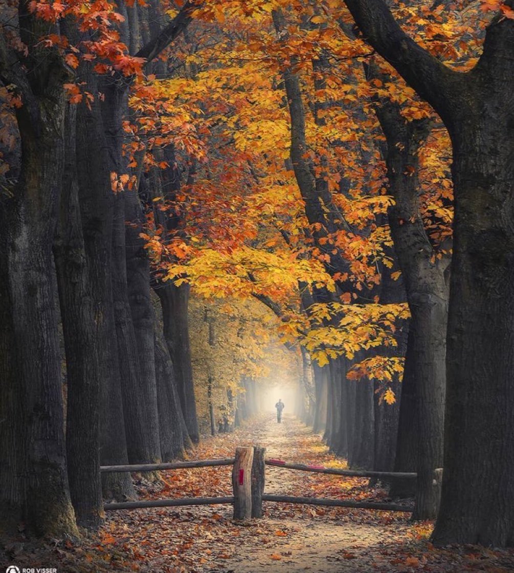 "Başka mevsimlerde belki biz şâir oluruz fakat sonbahar, kendisi şâirdir..."

-Ahmet Hamdi Tanpınar