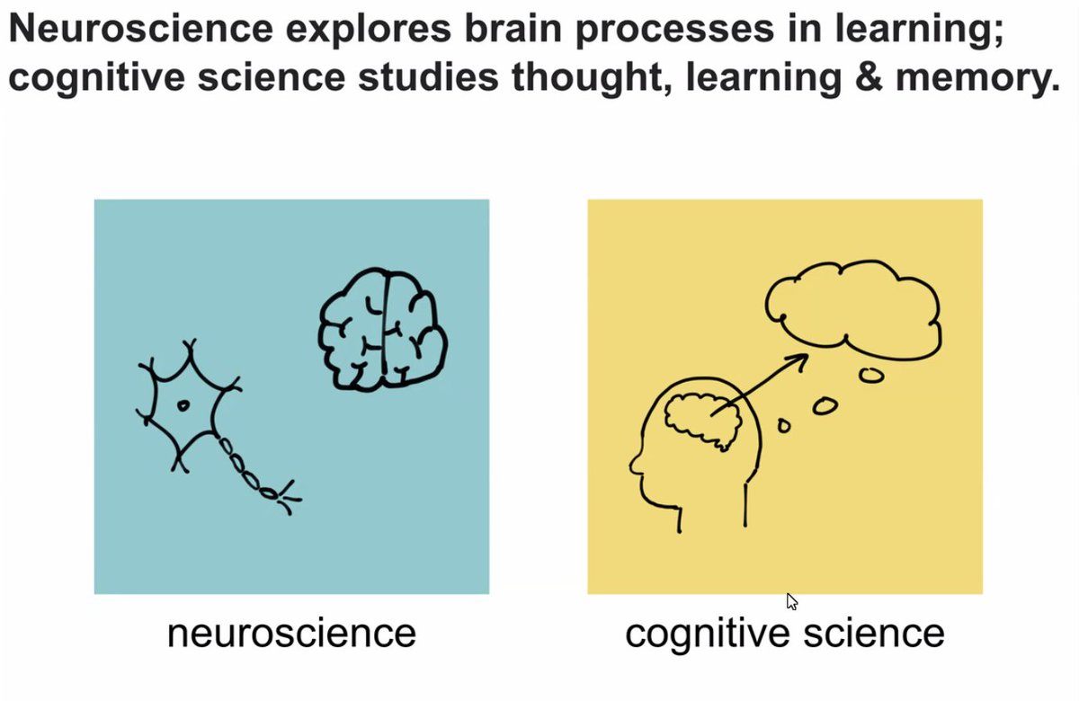 Hilda Zanaliu tweet media