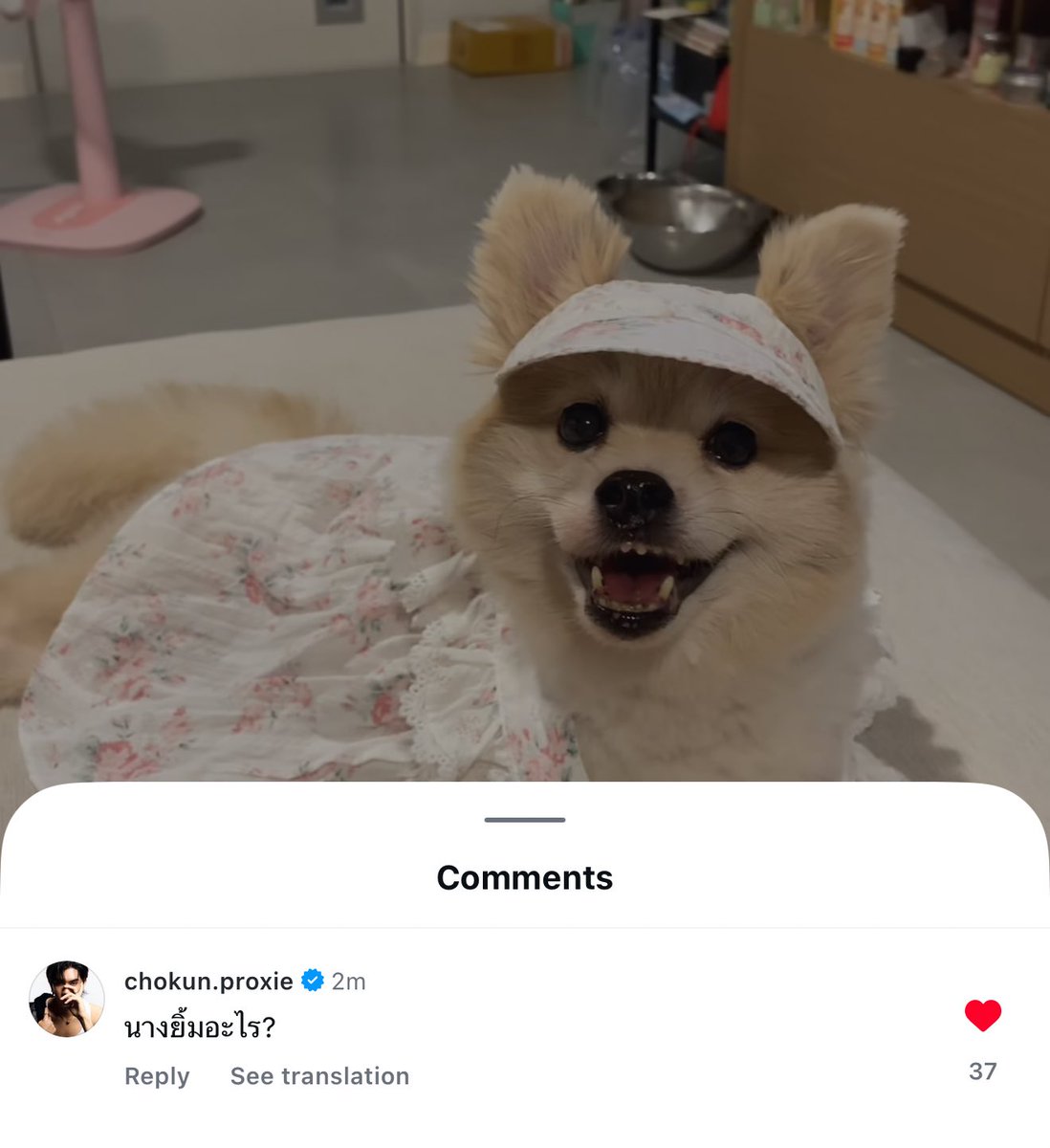 แล้วนางแซวหมาตัวเองเนาะ 5555555